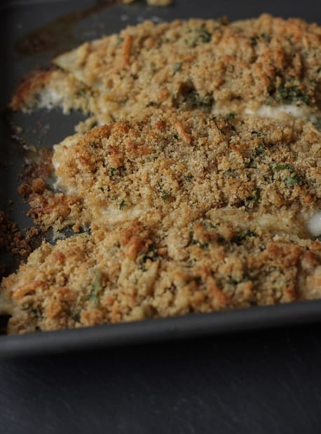 Parmesan and Cilantro Crusted Sole