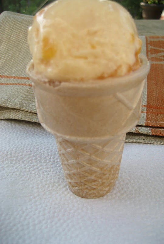 Peach Kefir Ice Cream